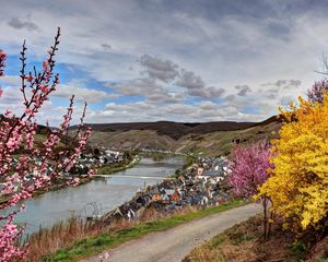 Превью обои германия, река, кусты