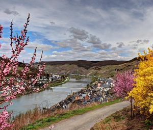 Превью обои германия, река, кусты