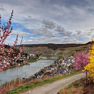 Превью обои германия, река, кусты