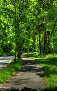 Превью обои германия, wetzlar, парк, деревья, лето, hdr