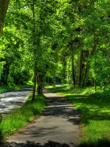 Превью обои германия, wetzlar, парк, деревья, лето, hdr