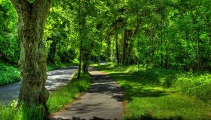 Превью обои германия, wetzlar, парк, деревья, лето, hdr