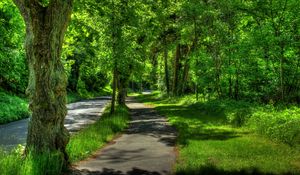 Превью обои германия, wetzlar, парк, деревья, лето, hdr