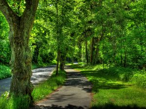 Превью обои германия, wetzlar, парк, деревья, лето, hdr