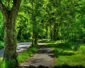 Превью обои германия, wetzlar, парк, деревья, лето, hdr