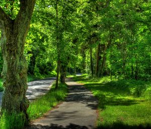 Превью обои германия, wetzlar, парк, деревья, лето, hdr