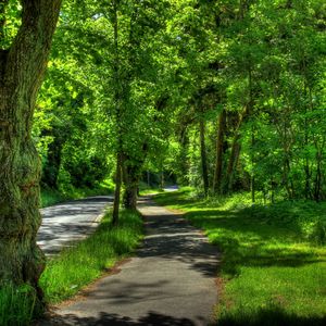 Превью обои германия, wetzlar, парк, деревья, лето, hdr