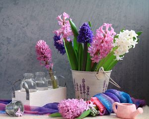 Превью обои гиацинты, цветы, весна, ведро, бутылки, лейка, натюрморт