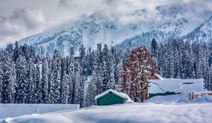 Превью обои гималаи, кашмир, горы, зима