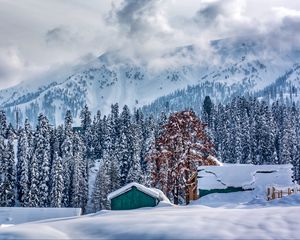 Превью обои гималаи, кашмир, горы, зима