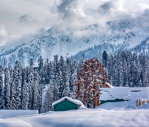 Превью обои гималаи, кашмир, горы, зима