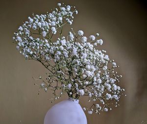 Превью обои гипсофила, цветы, ваза, минимализм