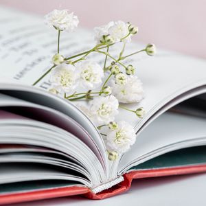 Превью обои гипсофила, цветы, ветка, книга, страницы