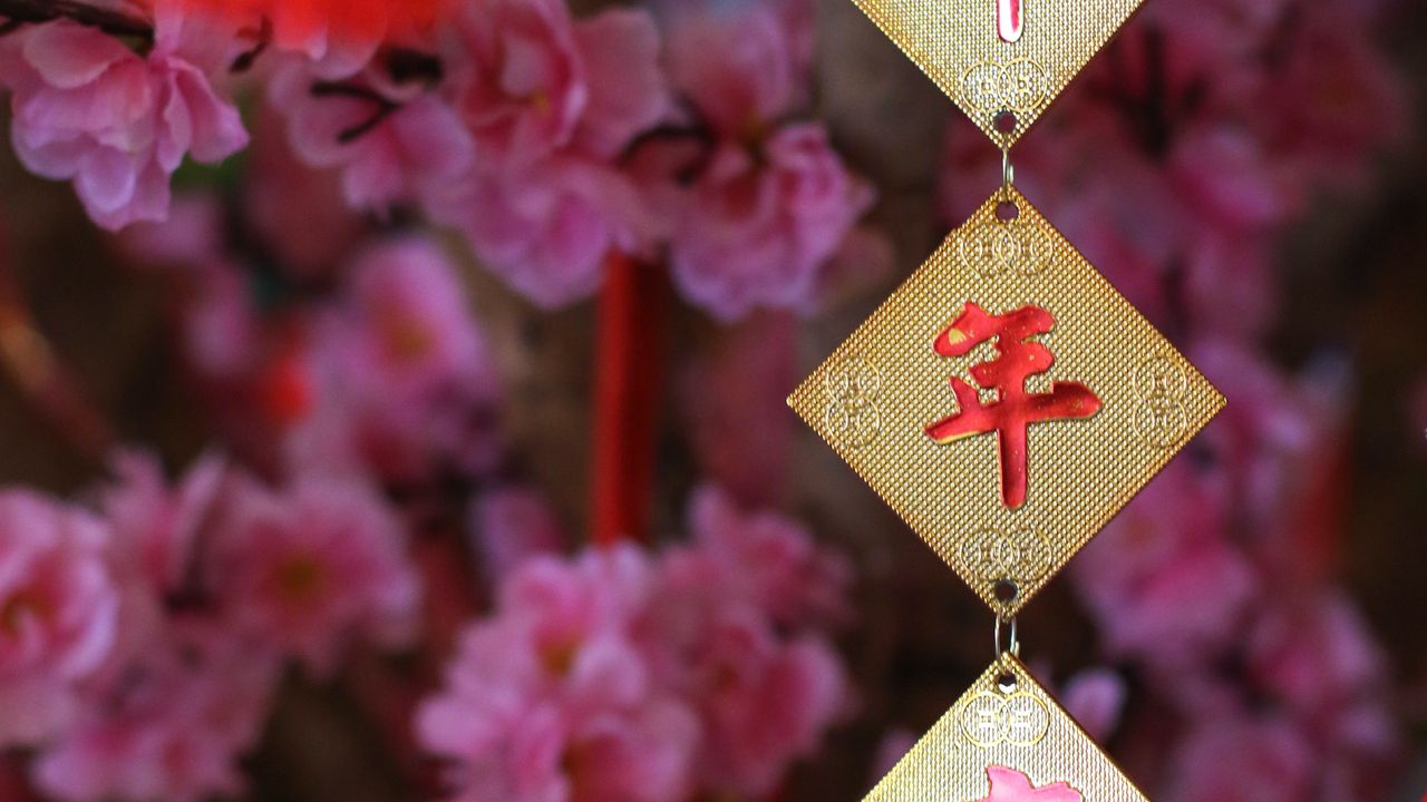 Обои гирлянда, иероглифы, цветы, китайский новый год