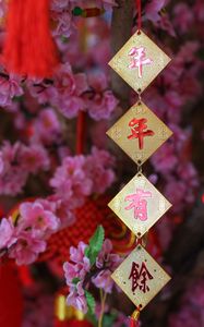 Превью обои гирлянда, иероглифы, цветы, китайский новый год