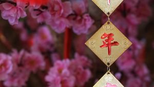 Превью обои гирлянда, иероглифы, цветы, китайский новый год
