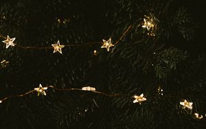 Превью обои гирлянда, звезды, елка, украшение, новый год