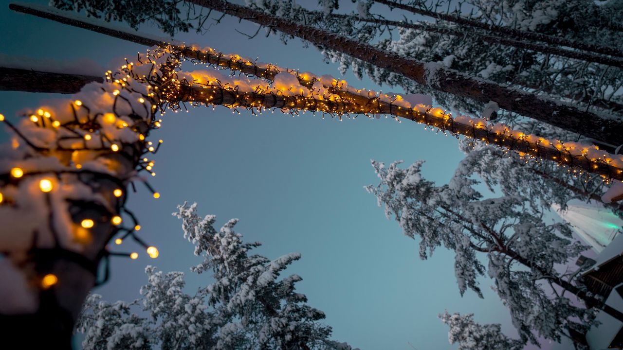 Обои гирлянды, снег, деревья, декорация, зима