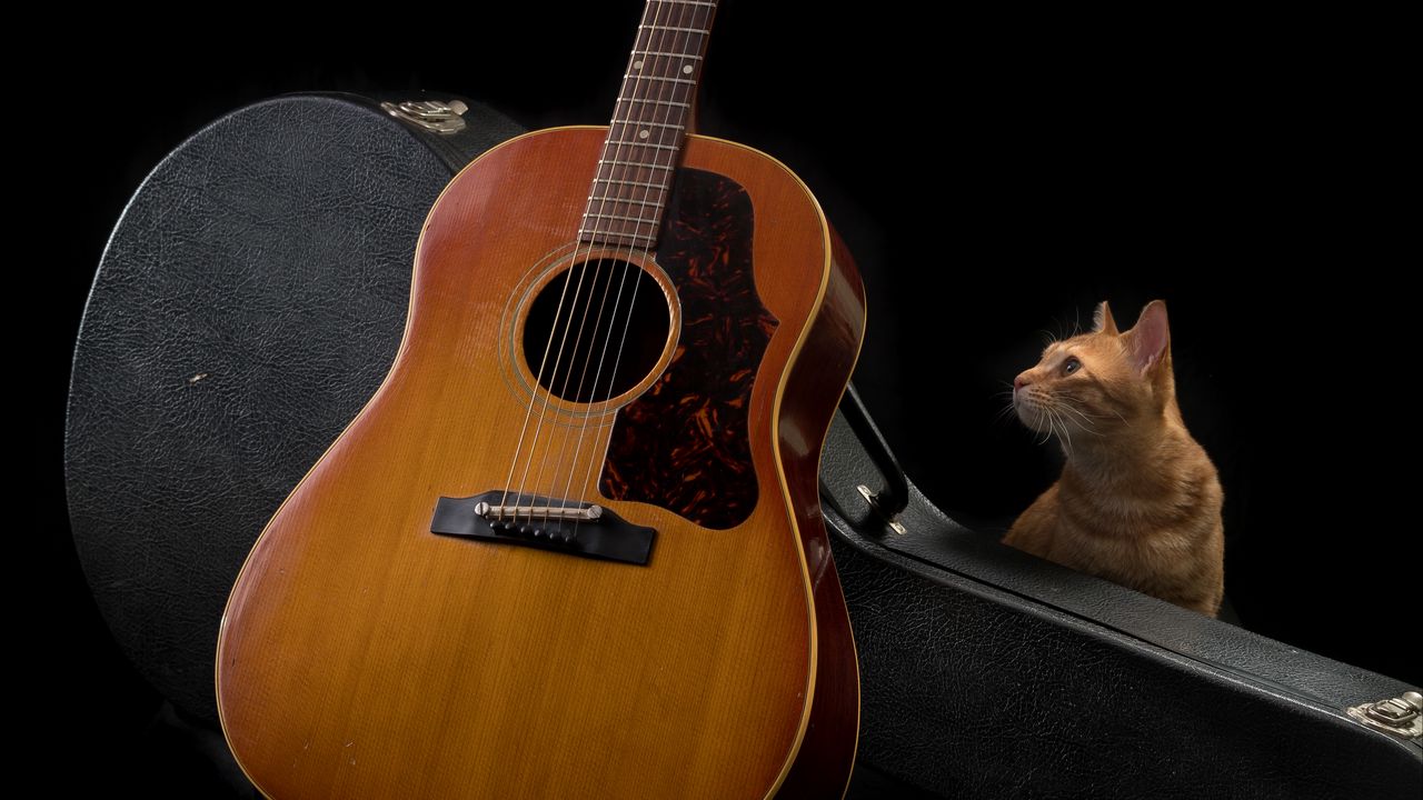 Обои гитара, кот, музыка, музыкальный инструмент, темный