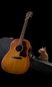 Превью обои гитара, кот, музыка, музыкальный инструмент, темный
