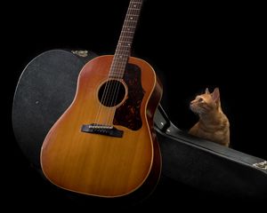 Превью обои гитара, кот, музыка, музыкальный инструмент, темный