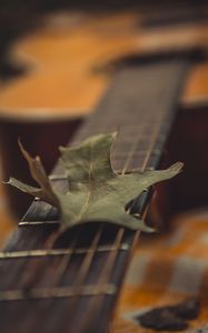Превью обои гитара, листок, сухой, зеленый, макро