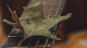 Превью обои гитара, листок, сухой, зеленый, макро