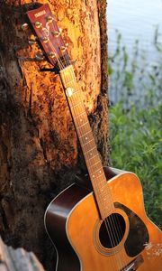 Превью обои гитара, струны, музыка, дерево, кора