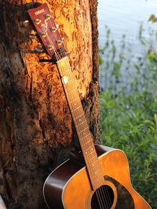 Превью обои гитара, струны, музыка, дерево, кора