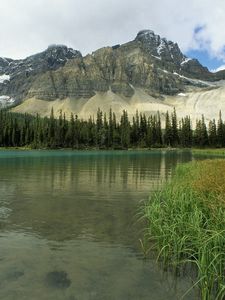 Превью обои glacial lake, alberta, канада, горы, деревья, трава, озеро