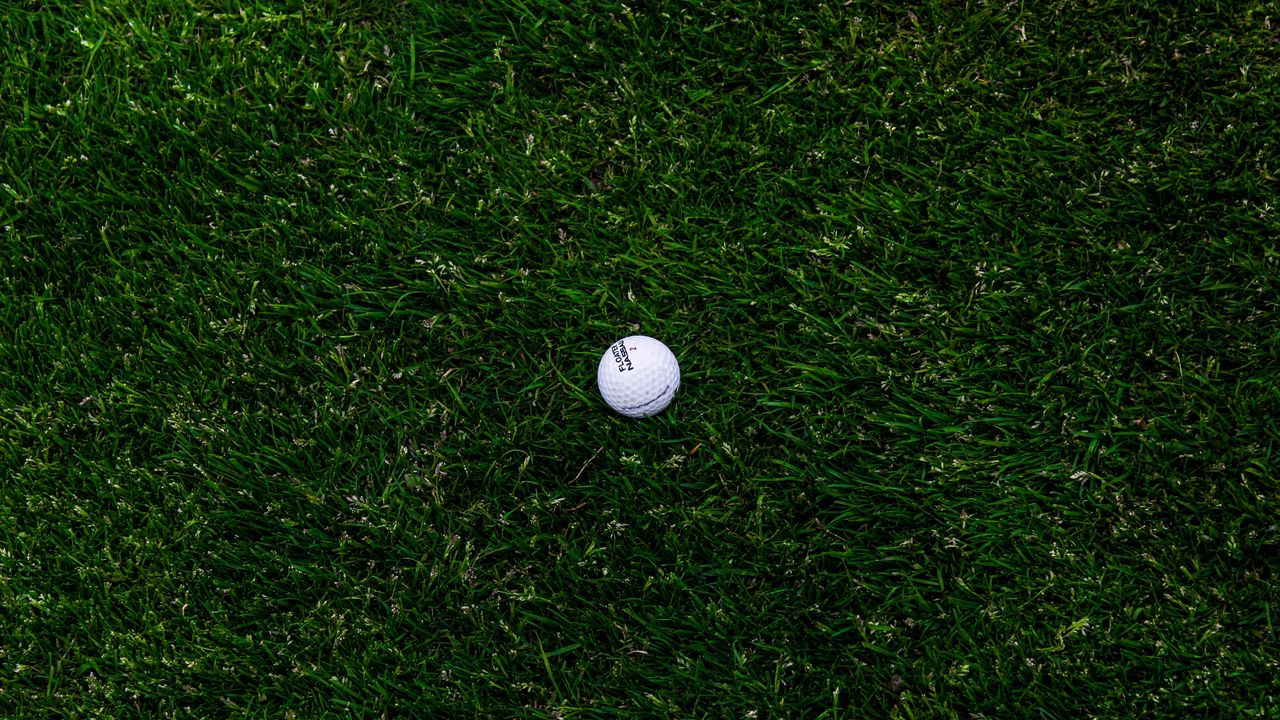 Обои гольф, мяч, трава, газон