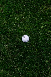 Превью обои гольф, мяч, трава, газон
