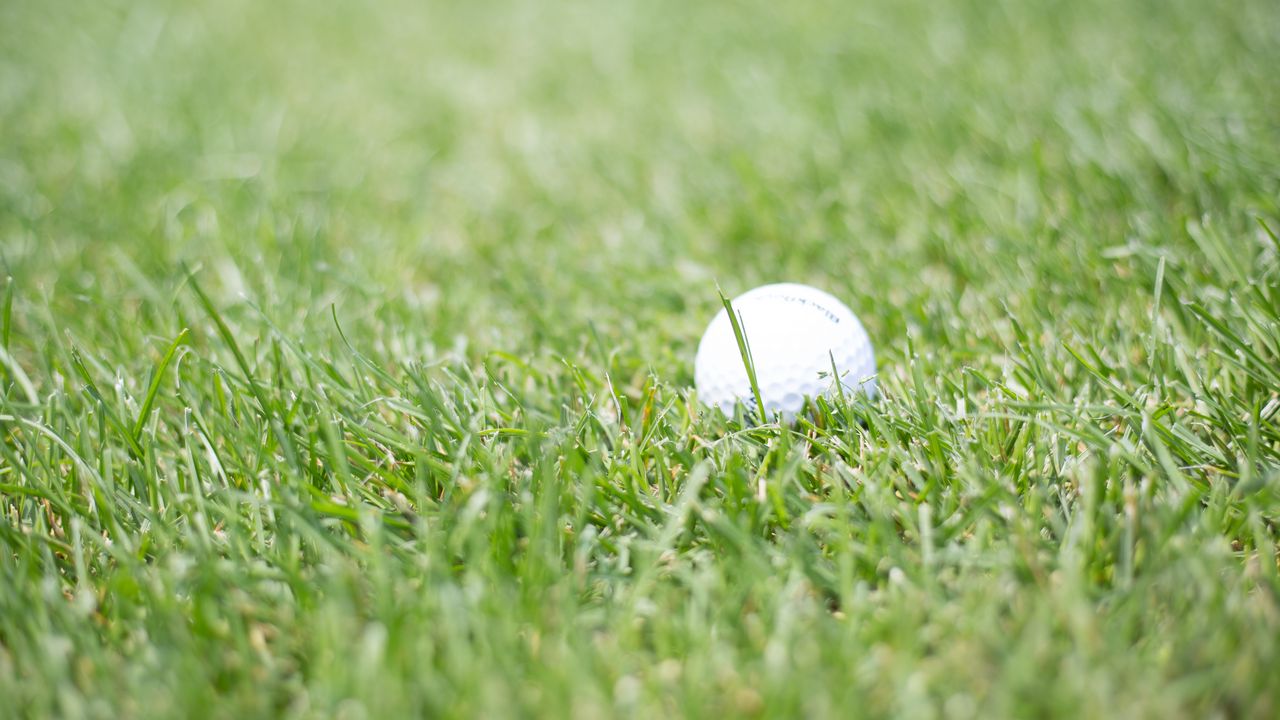Обои гольф, мячик, трава, спорт