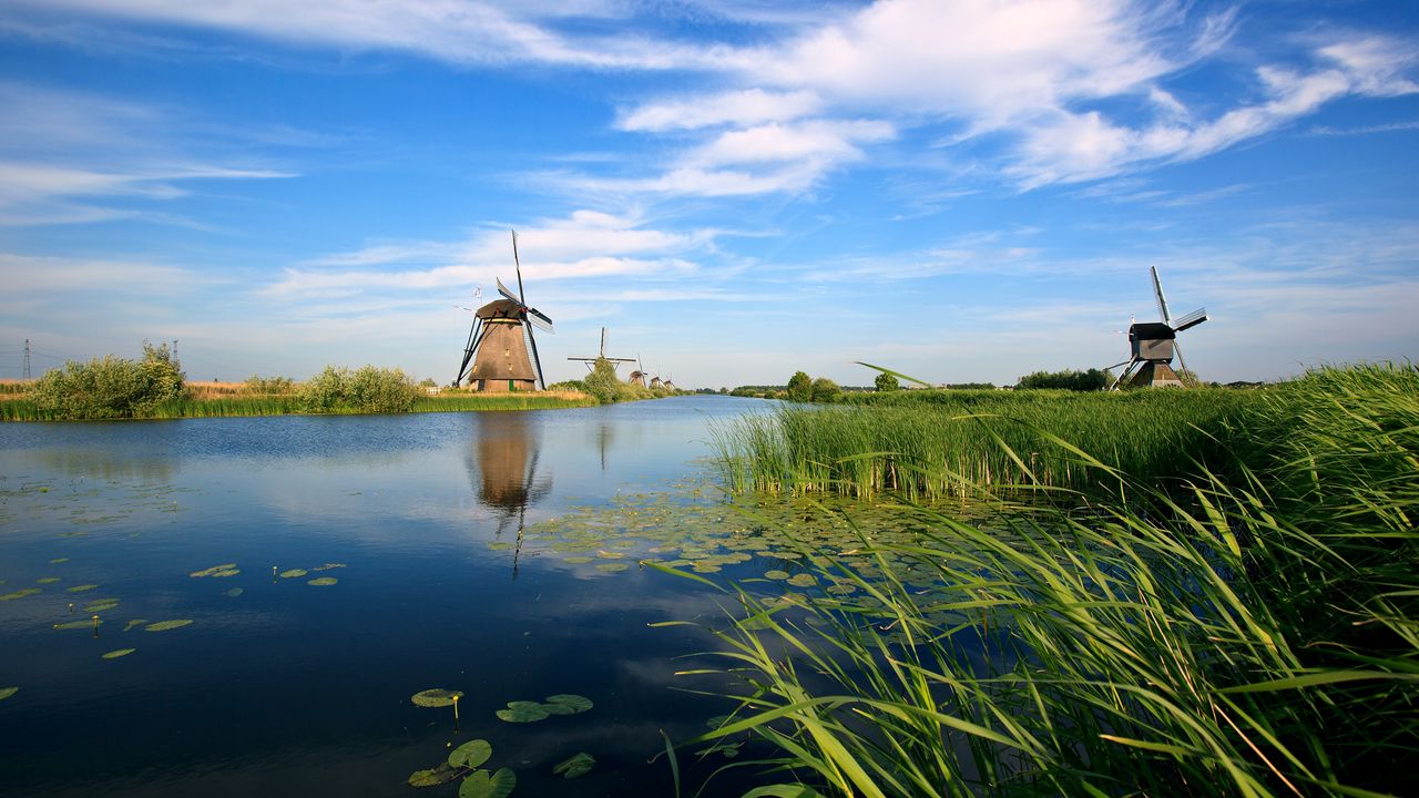 Обои голландия, мельницы, река, растительность, камыши