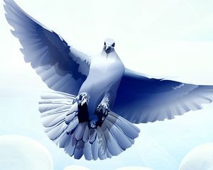 Превью обои голубь, птица, перья, полет, взмах
