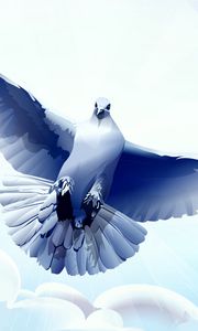Превью обои голубь, птица, полет, вектор