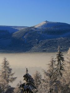 Превью обои гора, деревья, иней, ели, облака, высота, туман