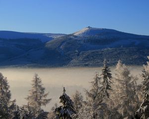 Превью обои гора, деревья, иней, ели, облака, высота, туман