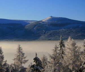 Превью обои гора, деревья, иней, ели, облака, высота, туман