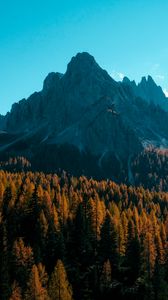 Превью обои гора, деревья, осень, тени, вид сверху