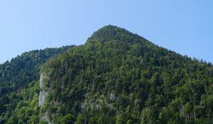 Превью обои гора, деревья, пейзаж, лес