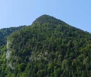 Превью обои гора, деревья, пейзаж, лес