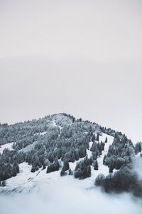Превью обои гора, деревья, снег, возвышенность, туман
