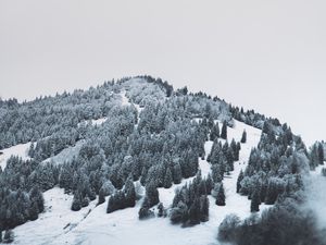 Превью обои гора, деревья, снег, возвышенность, туман