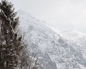 Превью обои гора, деревья, снег, склон, зима