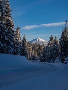 Превью обои гора, деревья, снег, зима, дорога, природа