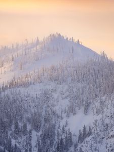 Превью обои гора, деревья, снег, зима