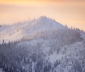 Превью обои гора, деревья, снег, зима
