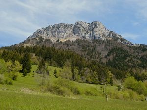 Превью обои гора, деревья, трава, зелень, лето, пейзаж