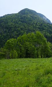 Превью обои гора, деревья, трава, поле